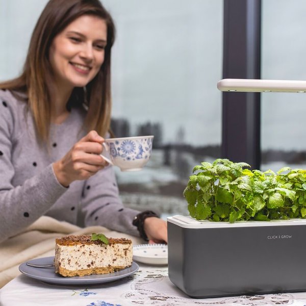 Click and Grow Smart Garden 3 -aloituspakkaus, tummanharmaa