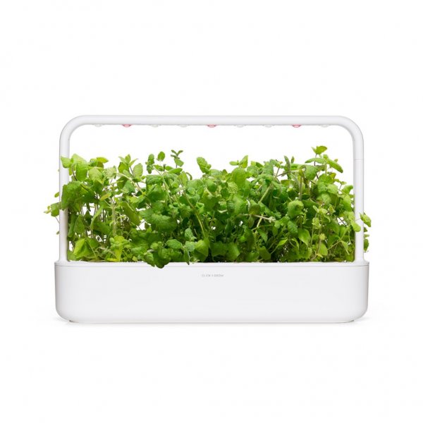Click and Grow Smart Garden täyttöpakkaus 3 kpl - Pyöreälehtinen minttu