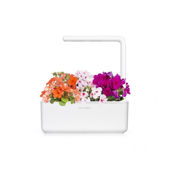 Click and Grow Smart Garden täyttöpakkaus 3 kpl - Ahkera Liisa