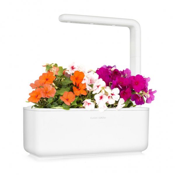 Click and Grow Smart Garden täyttöpakkaus 3 kpl - Ahkera Liisa
