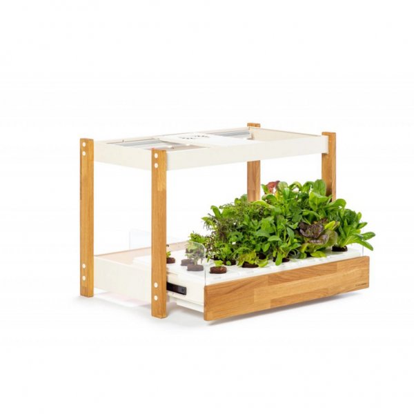 Click and Grow 25 - Valkoinen (Salad Greens 54x pakkaus)