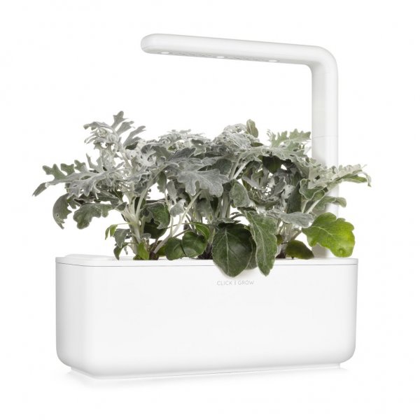 Click and Grow Smart Garden täyttöpakkaus 3 kpl - hopeatammi