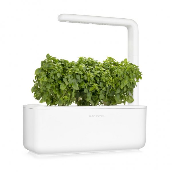 Click and Grow Smart Garden täyttöpakkaus 3 kpl - Hienolehtinen basilika