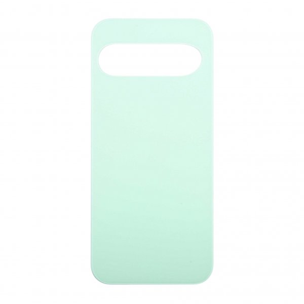 Google Pixel 9 Takakansi - Wintergreen