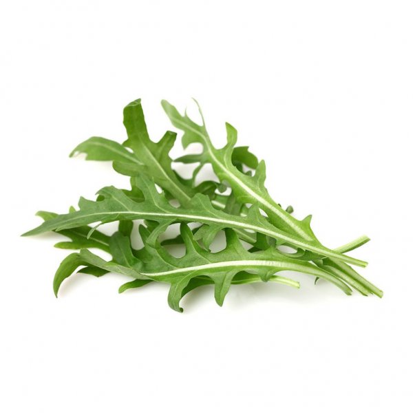 Click and Grow Smart Garden Refill 3-pack - Lehtisinapin täyttöpakkaus