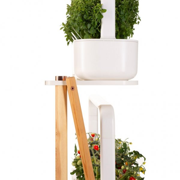 Click and Grow Smart Garden kasviteline