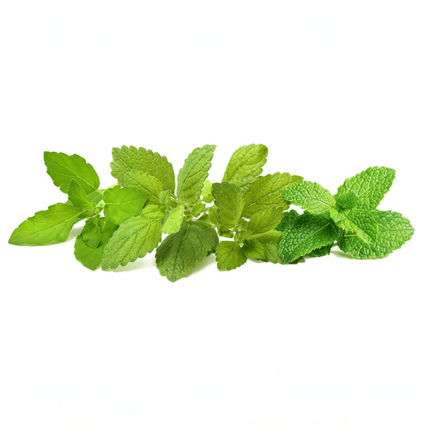 Click and Grow Smart Garden täyttöpakkaus 9 kpl Rauhoittava teeseos