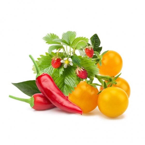 Click and Grow Smart Garden täyttöpakkaus 9 kpl Hedelmä- ja vihannesmix