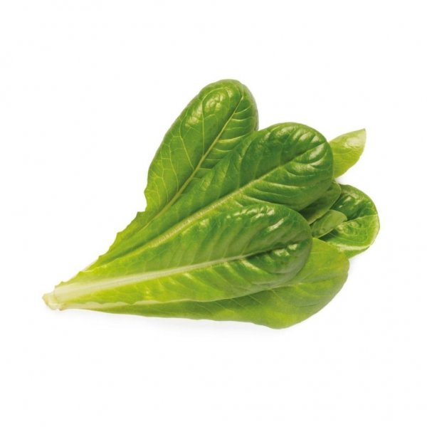 Click and Grow Smart Garden täyttöpakkaus 3 kpl - romaine-salaatti