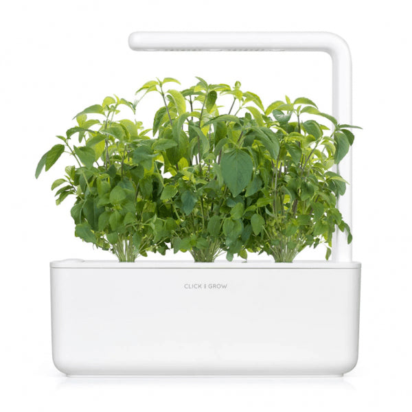 Click and Grow Smart Garden täyttöpakkaus 3 kpl - Thaibasilika