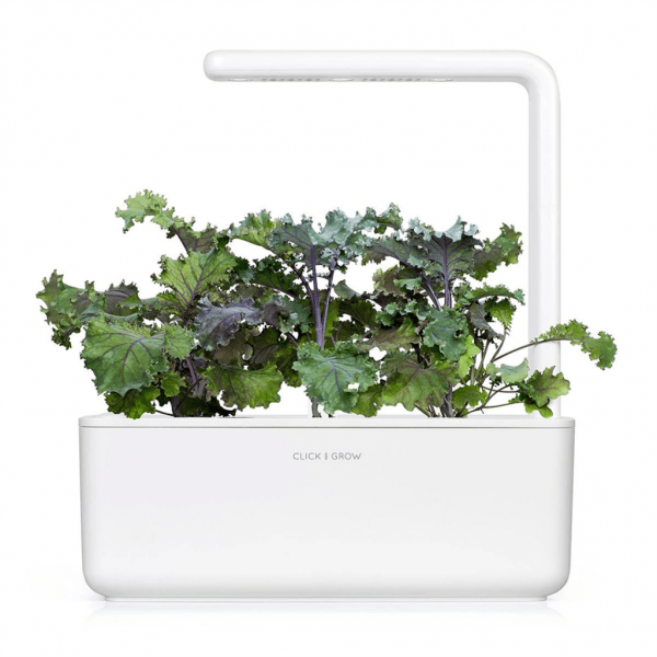 Click and Grow Smart Garden täyttöpakkaus 3 kpl – punakaali