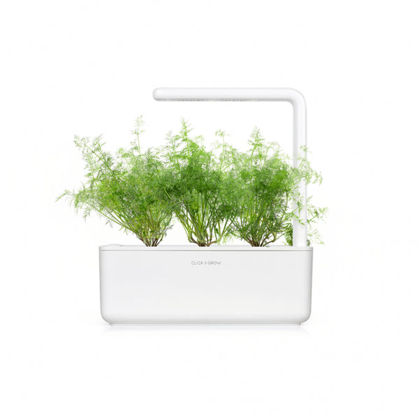 Click and Grow Smart Garden täyttöpakkaus 3 kpl - Tilli