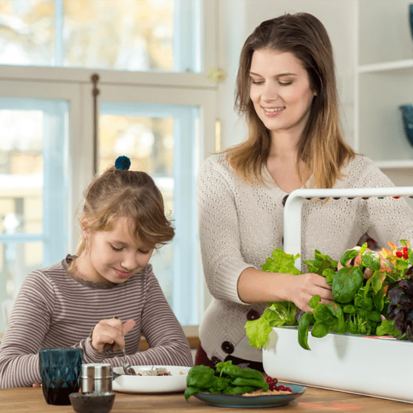 Click and Grow Smart Garden 9 Pro -aloituspaketti, valkoinen