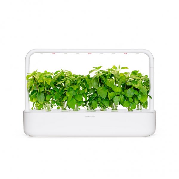 Click and Grow Smart Garden täyttöpakkaus 3 kpl - Kanelibasilika