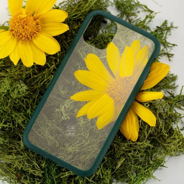 Pela iPhone 11 -suojakuori Eco Friendly Clear, vihreä