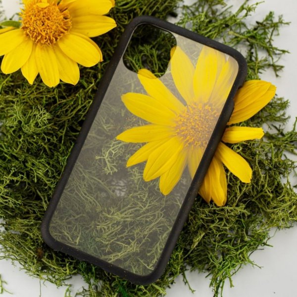Pela iPhone 11 Pro -kuoret, ympäristöystävällinen, läpinäkyvä, musta