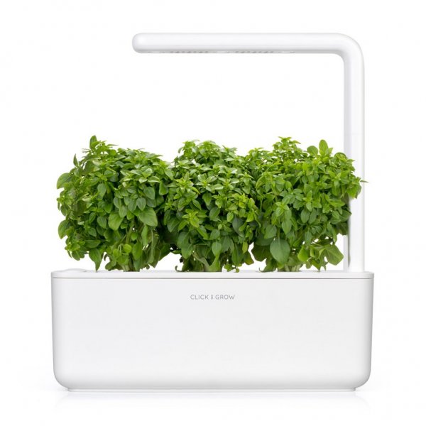 Click and Grow Smart Garden täyttöpakkaus 3 kpl - Hienolehtinen basilika