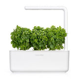 Click and Grow Smart Garden täyttöpakkaus 3 kpl - Hienolehtinen basilika