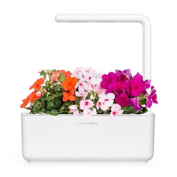 Click and Grow Smart Garden täyttöpakkaus 3 kpl - Ahkera Liisa