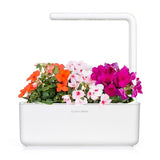 Click and Grow Smart Garden täyttöpakkaus 3 kpl - Ahkera Liisa