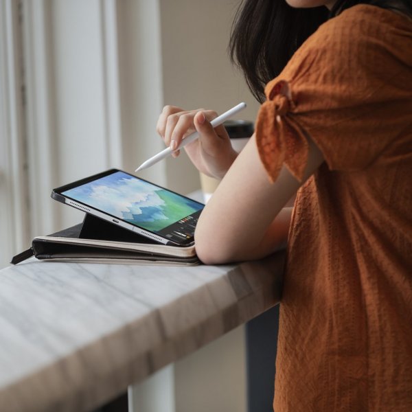 Twelve South iPad 10.9 (10. sukupolvi)/iPad 11 (A16) BookBook -suojakotelo, ruskea