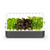 Click and Grow Smart Garden 9 Starttipaketti - Tummanharmaa