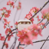 Happy Plugs Hope TWS Kulta