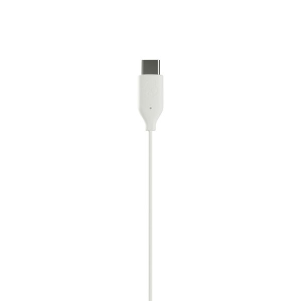 Skullcandy JIB USB-C -langalliset kuulokkeet, Bone White