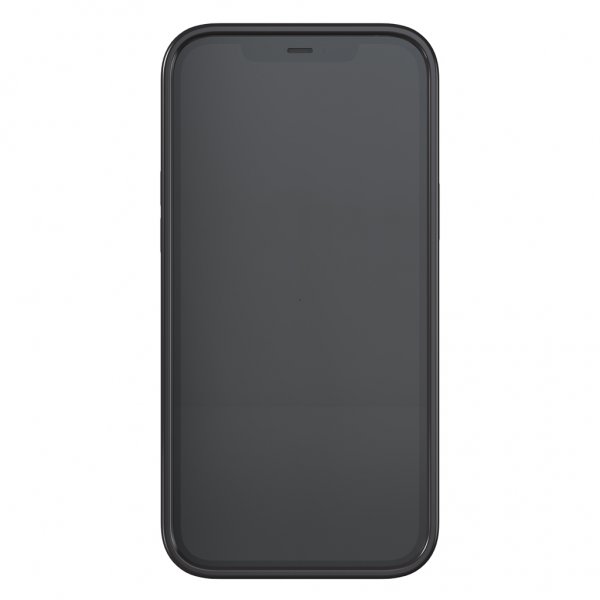 Richmond & Finch iPhone 12 Pro Max Kuori Black Marble