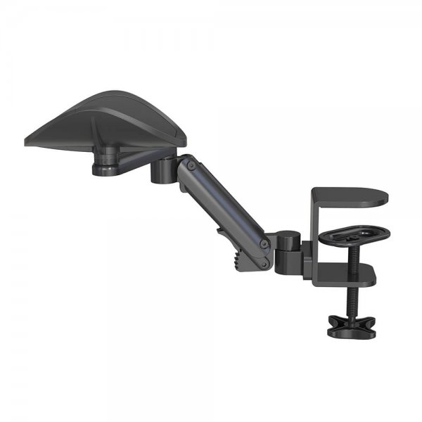 desire2 MouseMate Rannetuki
