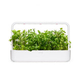 Click and Grow Smart Garden täyttöpakkaus 3 kpl - Pyöreälehtinen minttu