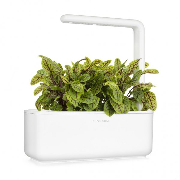 Click and Grow Smart Garden täyttöpakkaus 3 kpl - Suolaheinä