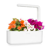 Click and Grow Smart Garden täyttöpakkaus 3 kpl - Ahkera Liisa