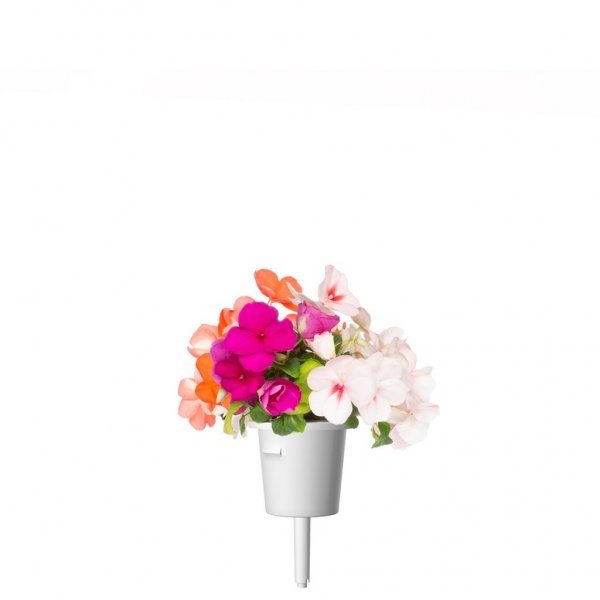 Click and Grow Smart Garden täyttöpakkaus 3 kpl - Ahkera Liisa