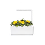 Click and Grow Smart Garden täyttöpakkaus 3 kpl - kehäkukka