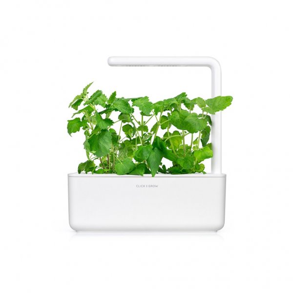 Click and Grow Smart Garden täyttöpakkaus 3 kpl - Kissaminttu