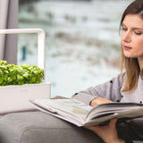 Click and Grow Smart Garden 3 Aloituspakkaus - Valkoinen