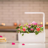 Click and Grow Smart Garden 3 Aloituspakkaus - Mellow Beige
