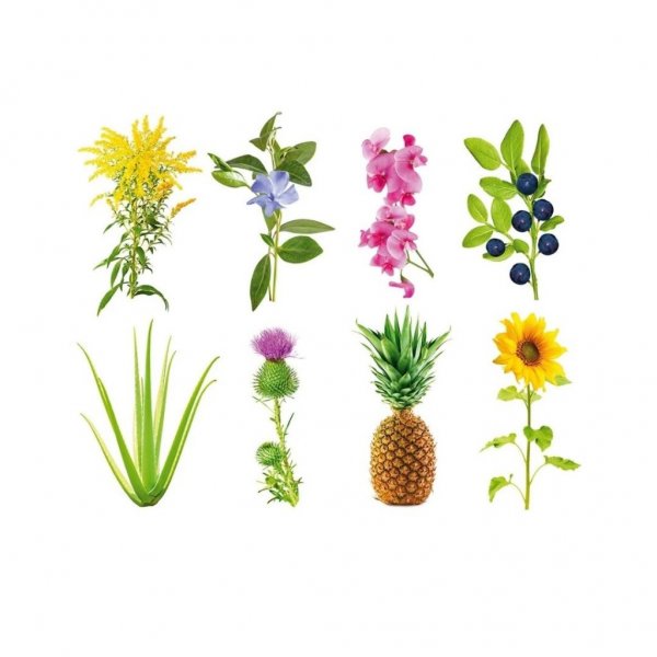 Click and Grow Smart Garden täyttöpakkaus 3-pack - kokeellinen