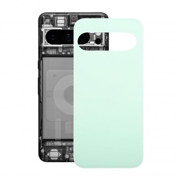 Google Pixel 9 Takakansi - Wintergreen