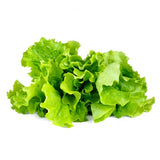 Click and Grow Smart Garden täyttöpakkaus 3 kpl - Lehtisalaatti