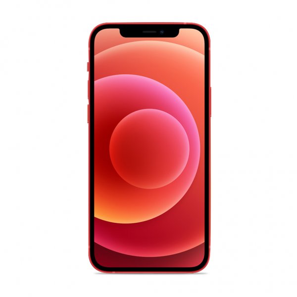 Puro iPhone 12/iPhone 12 Pro Kuori Nude Transparent