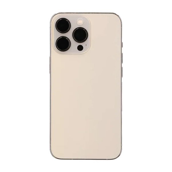 iPhone 13 Pro Takakansi ja Koko Kehys OEM - Kulta