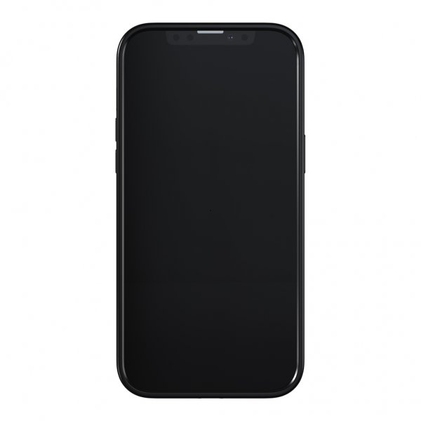 Richmond & Finch iPhone 13 Pro Max Suojakuori Emerald Zebra