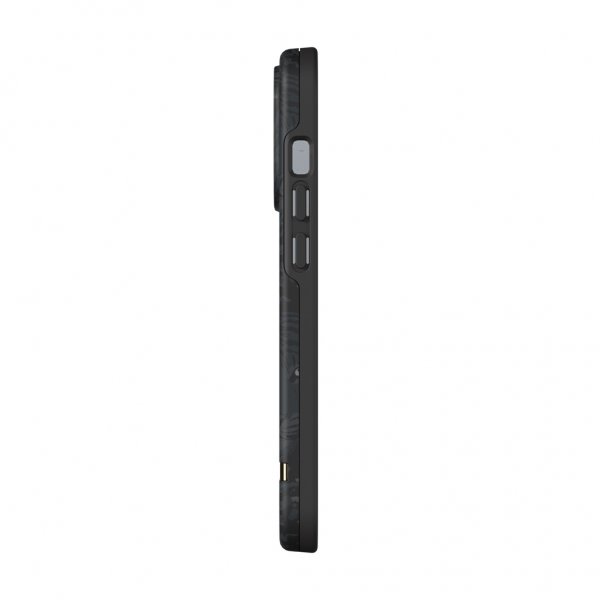Richmond & Finch iPhone 13 Pro -kuori Black Tiger
