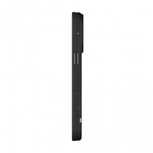 Richmond & Finch iPhone 13 Pro -kuori Black Tiger
