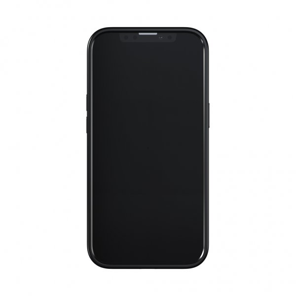 Richmond & Finch iPhone 13 Kuori Emerald Zebra