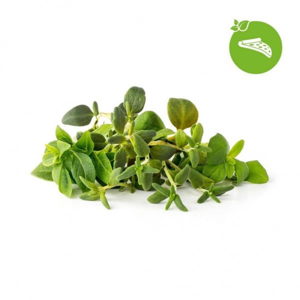 Click and Grow Smart Garden täyttöpakkaus 9 kpl Italialaiset yrtit