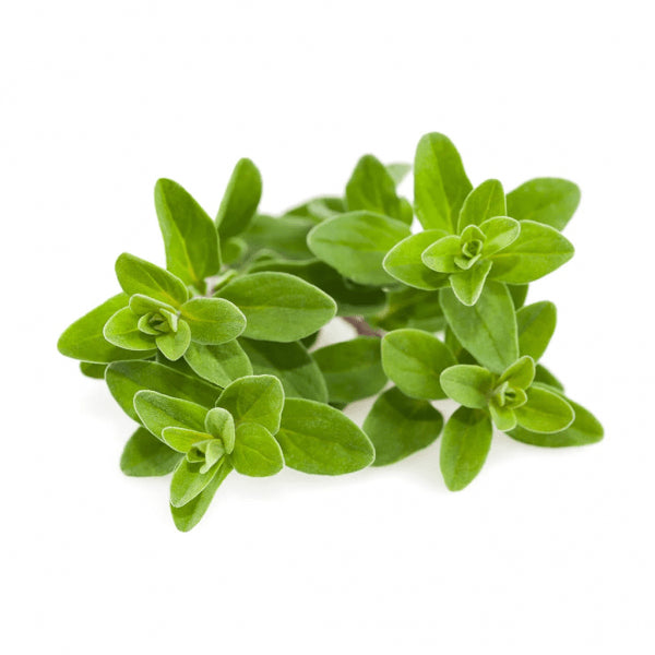 Click and Grow Smart Garden täyttöpakkaus 3 kpl - Meirami