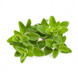 Click and Grow Smart Garden täyttöpakkaus 3 kpl - Meirami